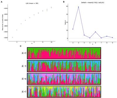 Dissection of Allelic Variation Underlying Floral and Fruit Traits in Flare Tree Peony (Paeonia rockii) Using Association Mapping